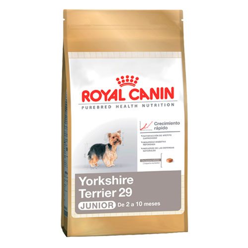 Morgue raqueta S t Royal Canin Yorkshire Terrier 29 Junior – Tienda de Mascotas | Puerto Madryn