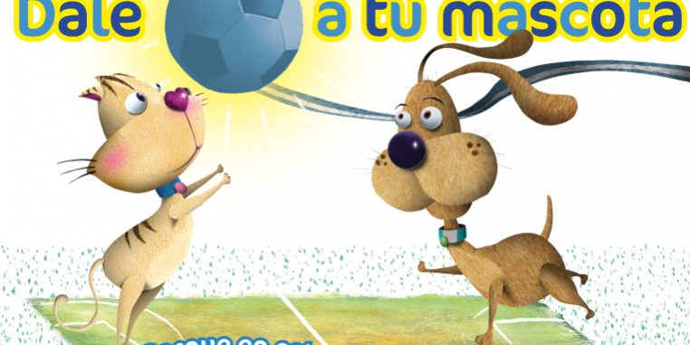 Dale-Pelota-Blog